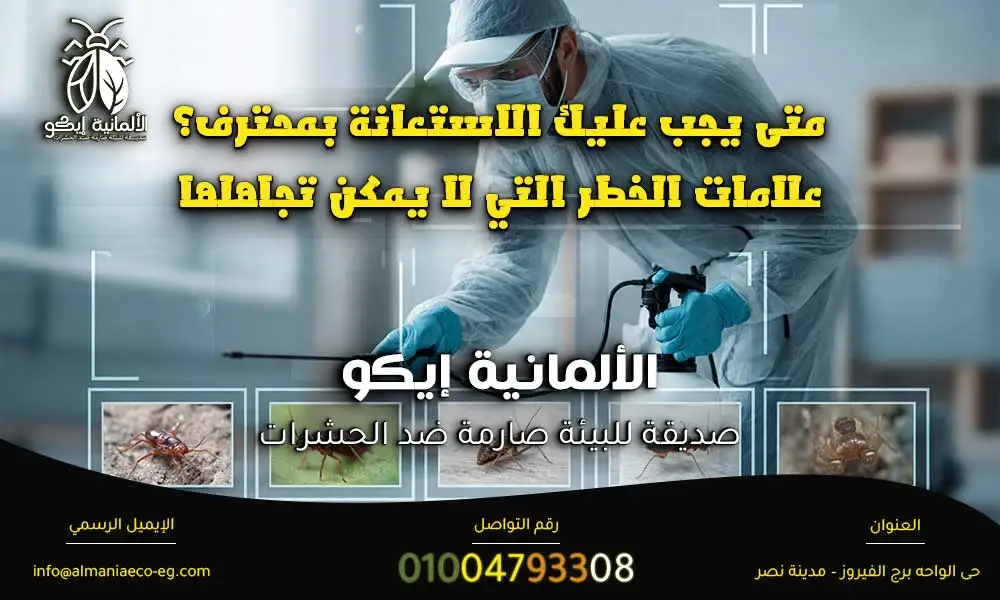 افضل شركة مكافحة حشرات