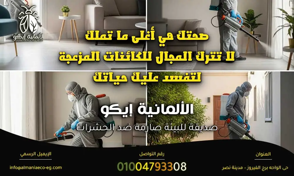 افضل شركة مكافحة حشرات