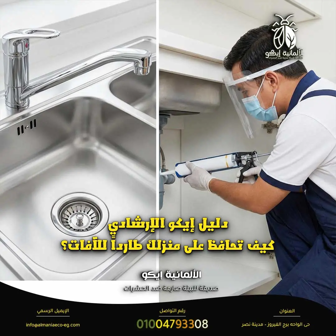 شركة رش صراصير