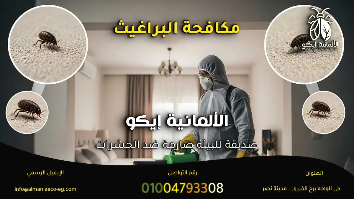 مكافحة البراغيث