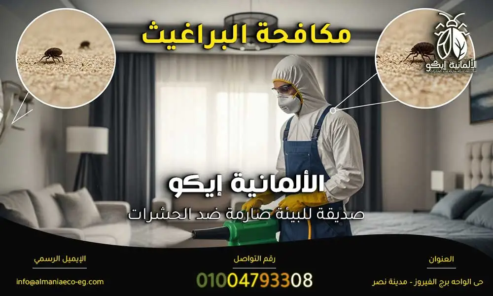 مكافحة البراغيث