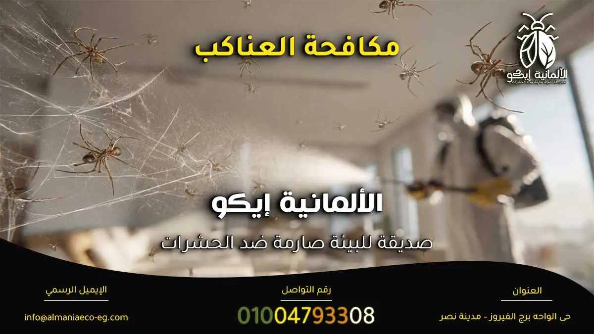 مكافحة العناكب