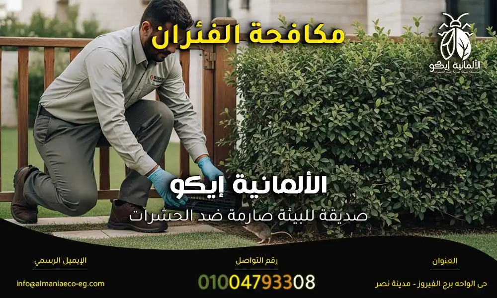 مكافحة الفئران