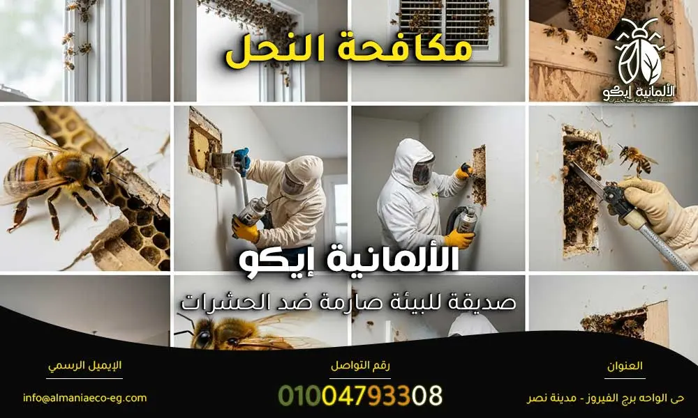 مكافحة النحل