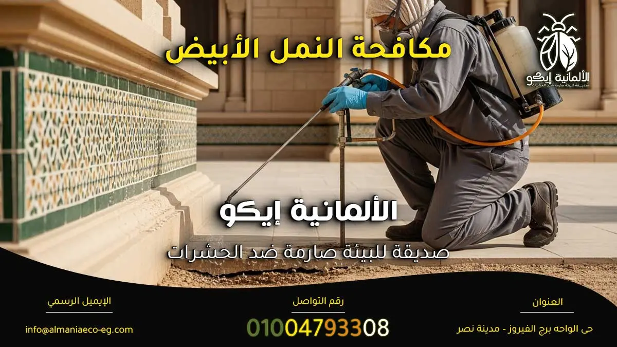 مكافحة النمل الأبيض