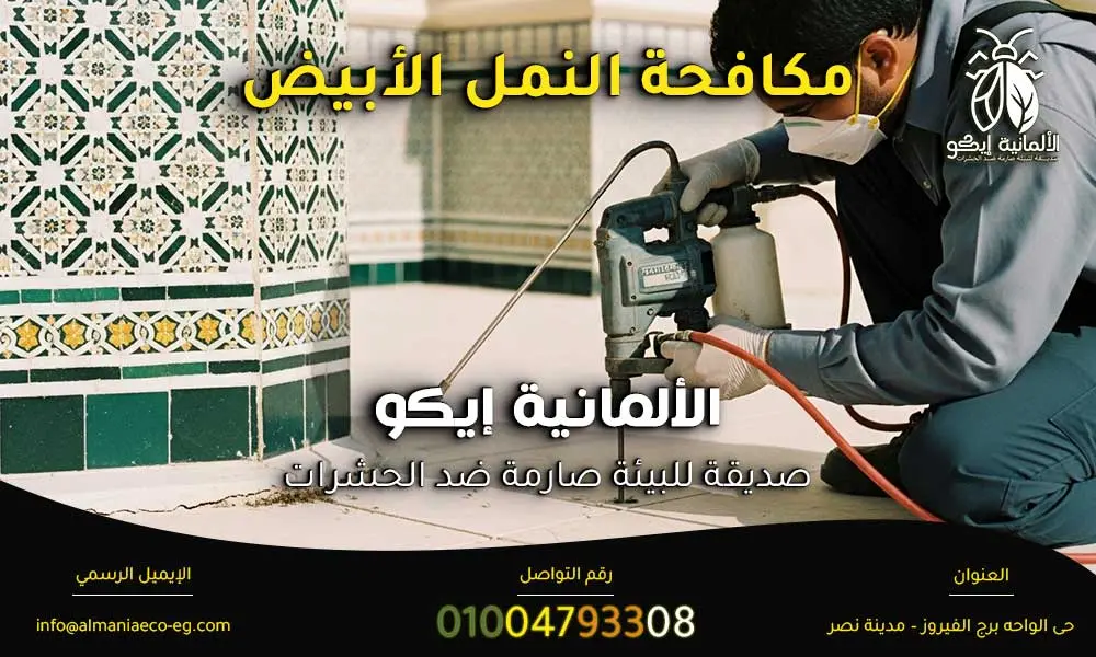 مكافحة النمل الأبيض