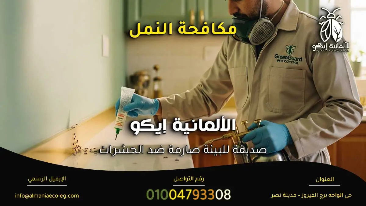 مكافحة النمل