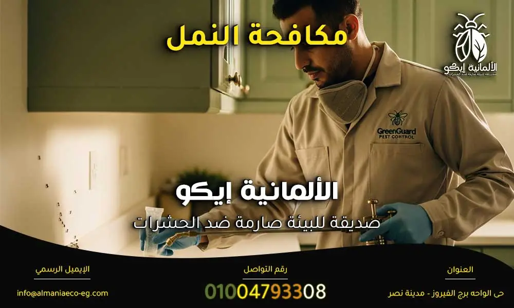 مكافحة النمل