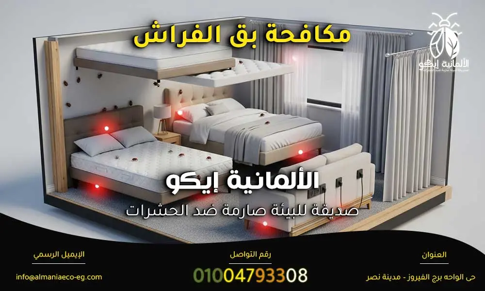 مكافحة بق الفراش