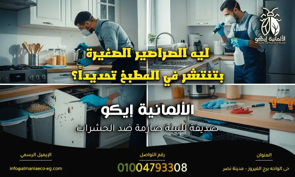 الصراصير الصغيرة