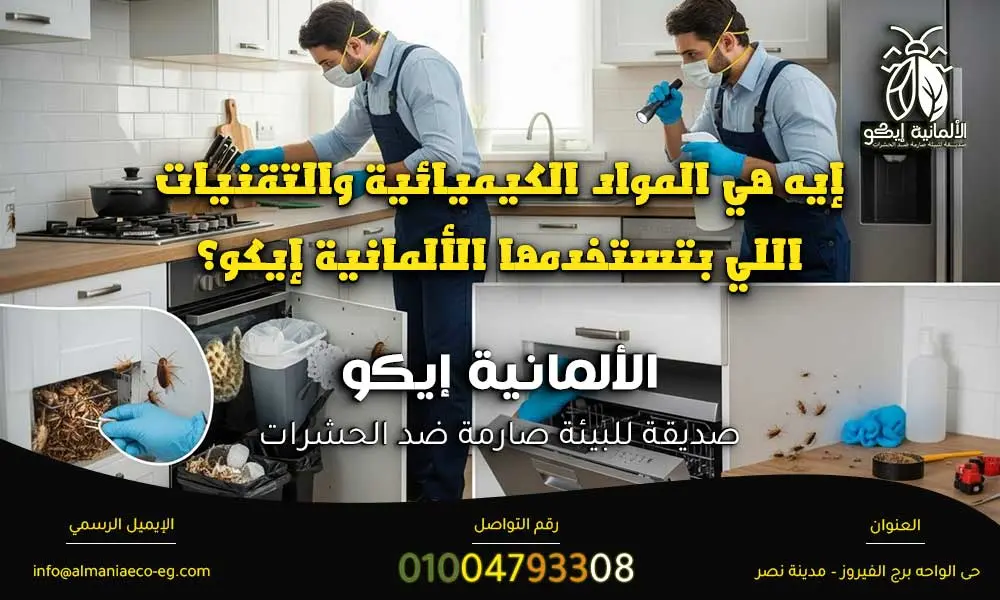 الصراصير الصغيرة