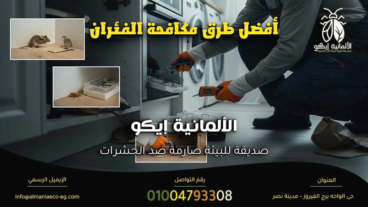 أفضل طرق مكافحة الفئران