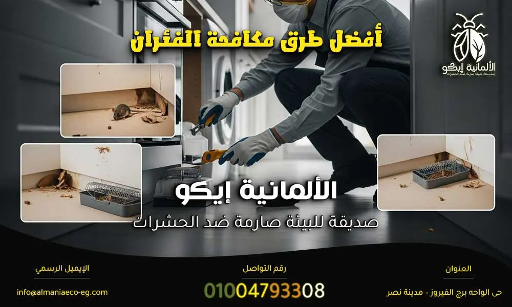 أفضل طرق مكافحة الفئران