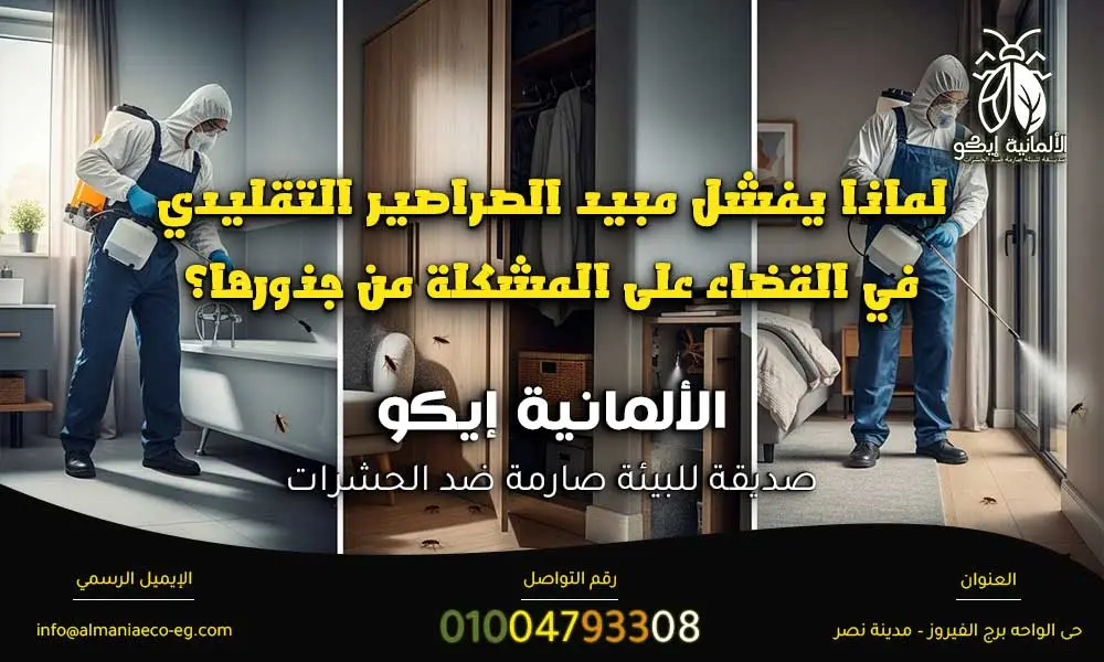 أفضل مبيد للصراصير