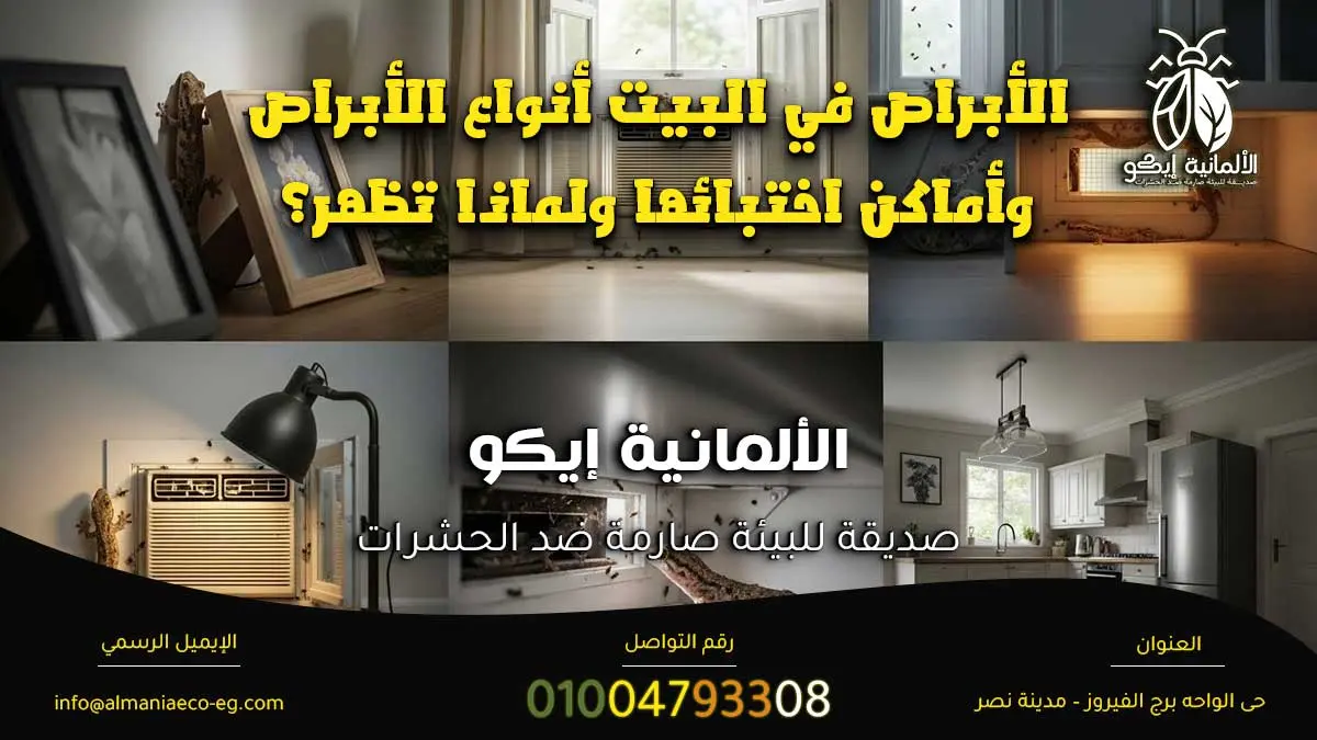 الأبراص في البيت