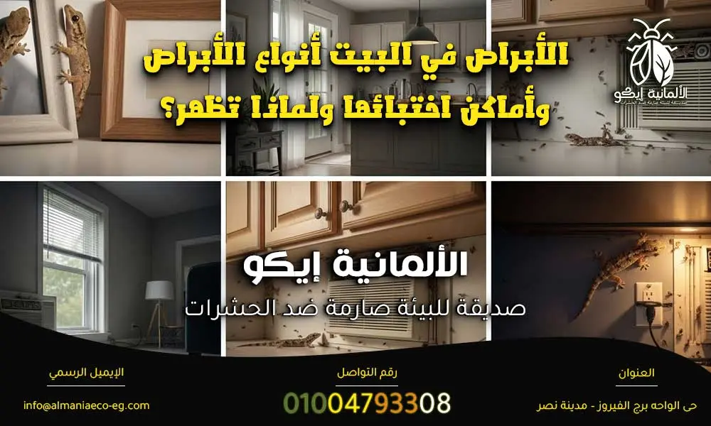 الأبراص في البيت