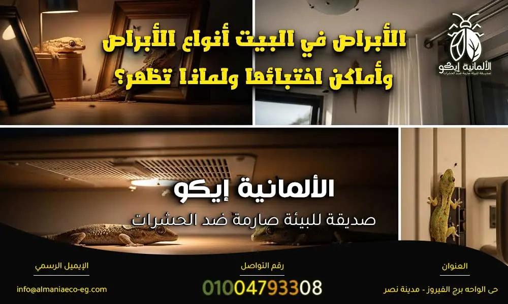 الأبراص في البيت