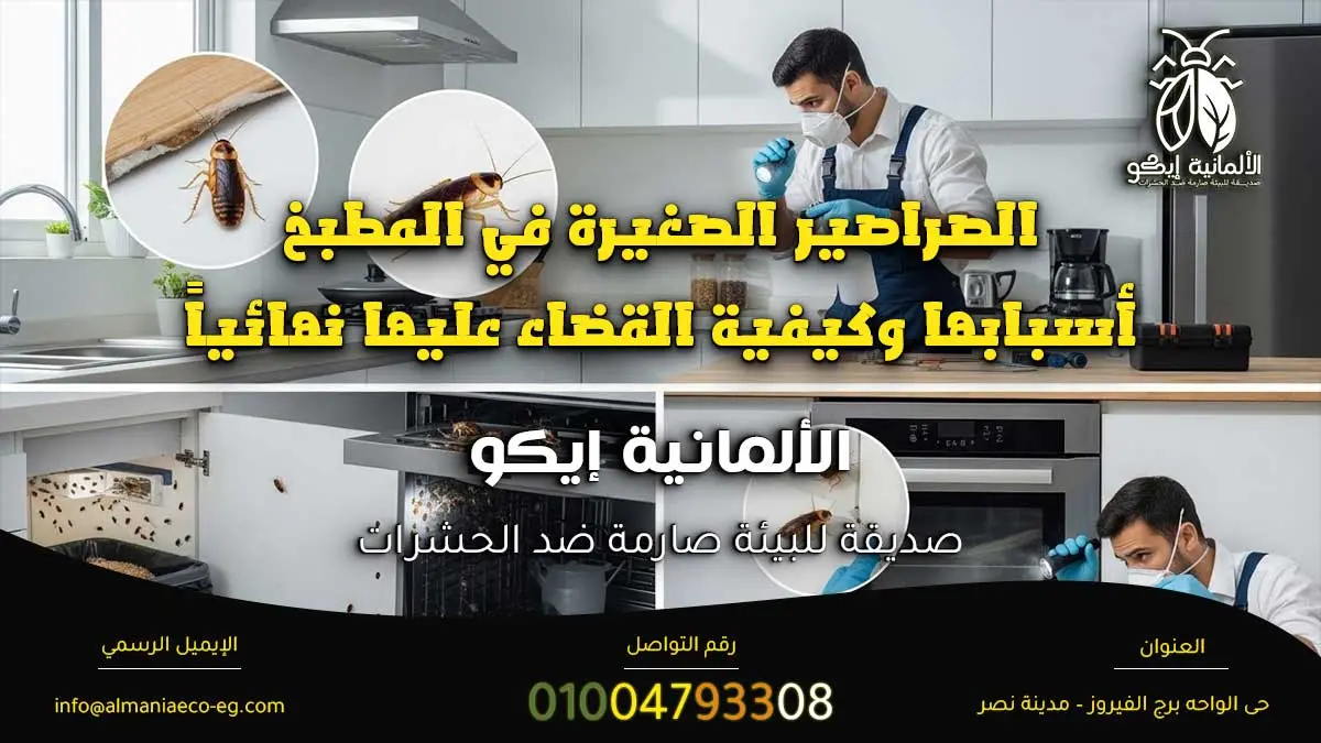 الصراصير الصغيرة