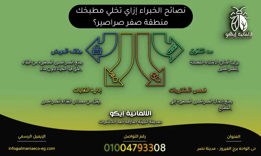 الصراصير الصغيرة