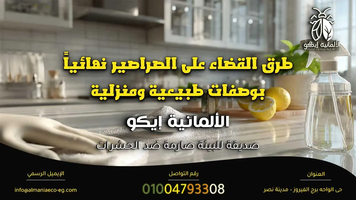 القضاء على الصراصير نهائياً