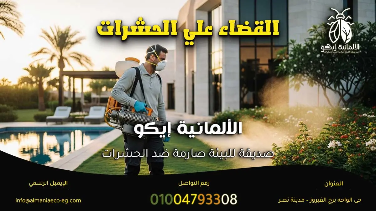 القضاء علي الحشرات