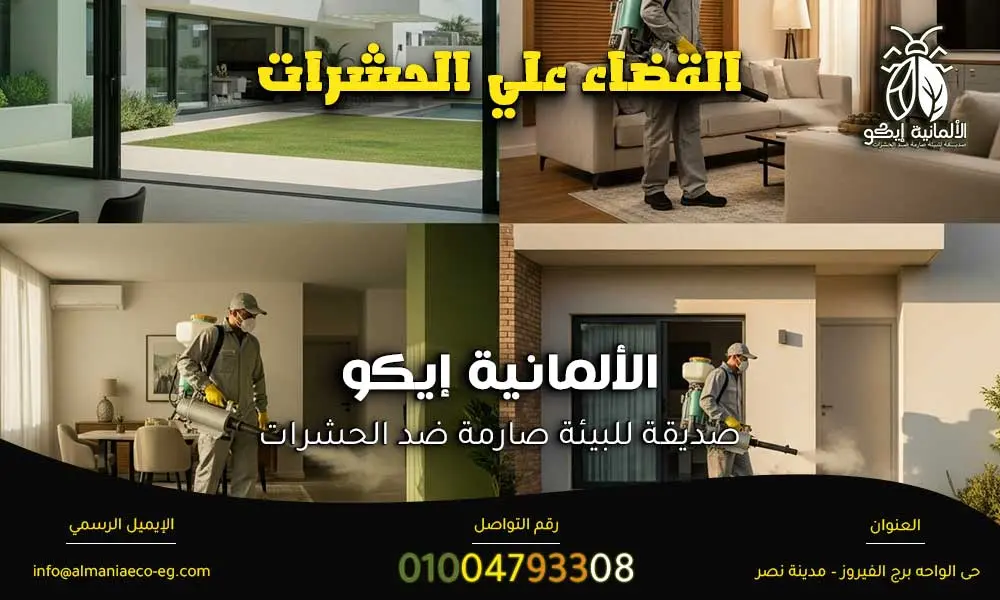 القضاء علي الحشرات