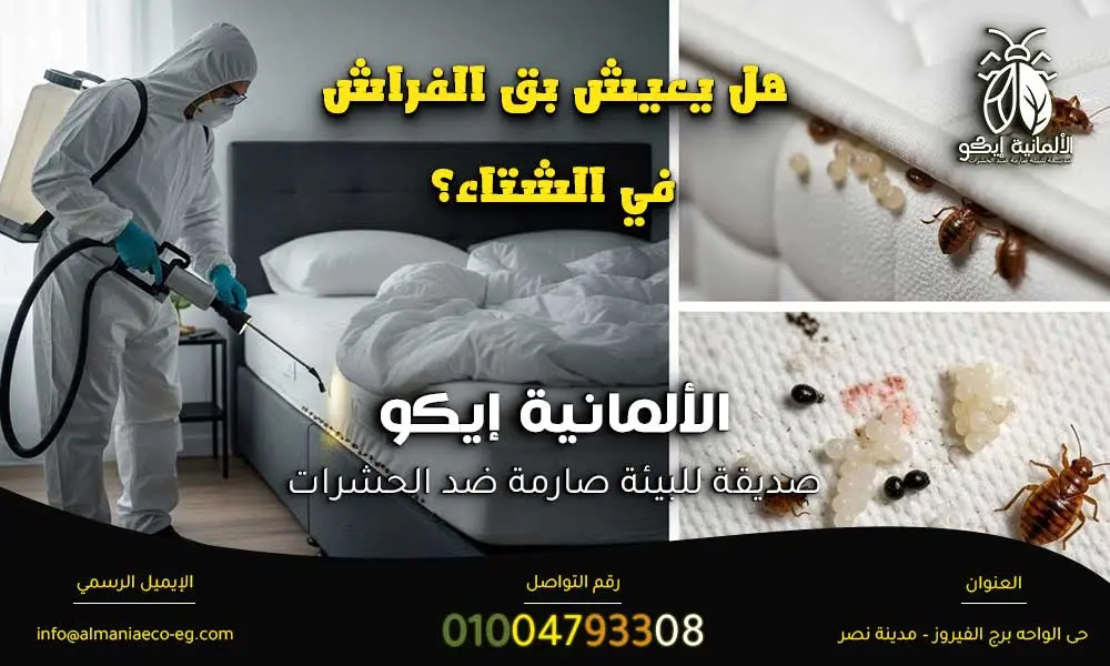 بق الفراش في الشتاء