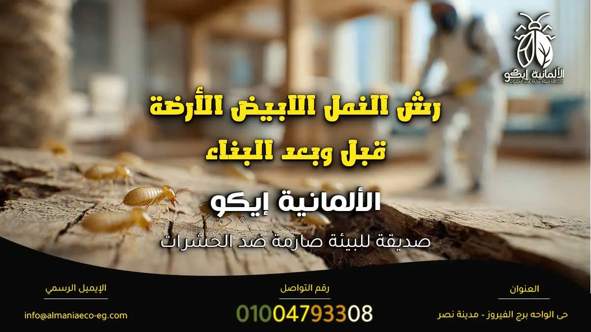 رش النمل الابيض