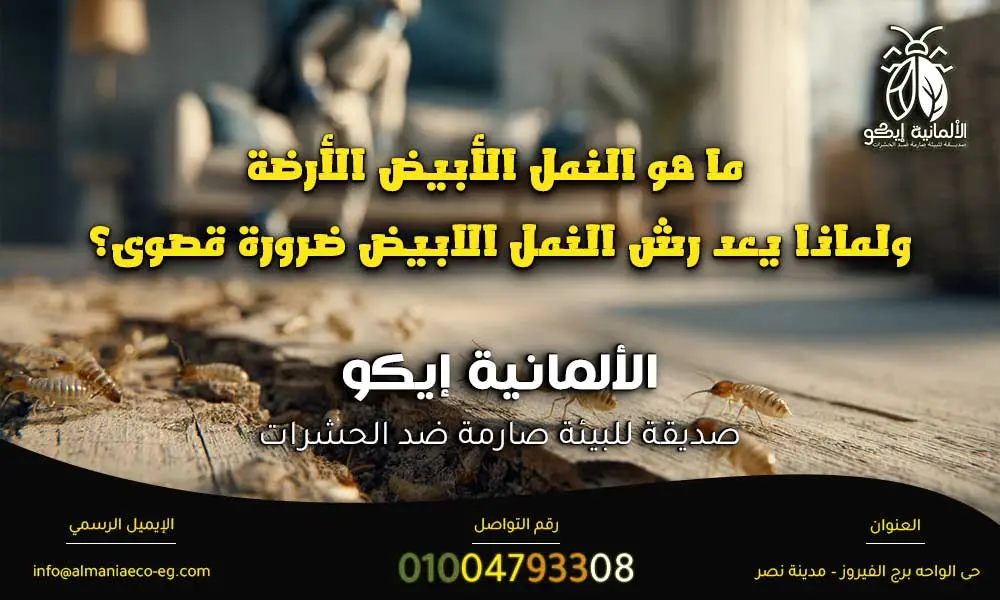 رش النمل الابيض