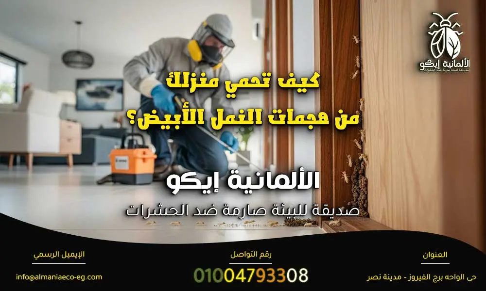 رش النمل الابيض