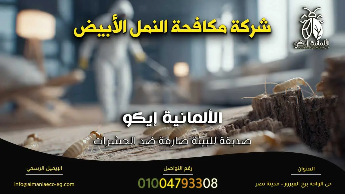 شركة مكافحة النمل الأبيض