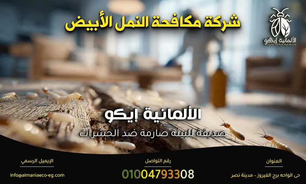 شركة مكافحة النمل الأبيض