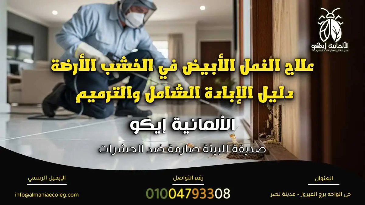 علاج النمل الأبيض في الخشب