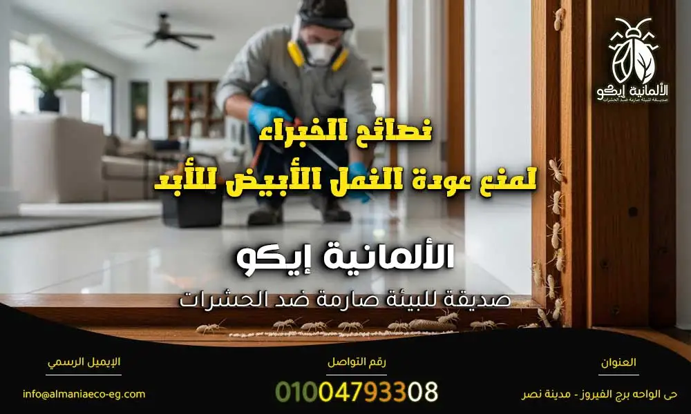 علاج النمل الأبيض في الخشب