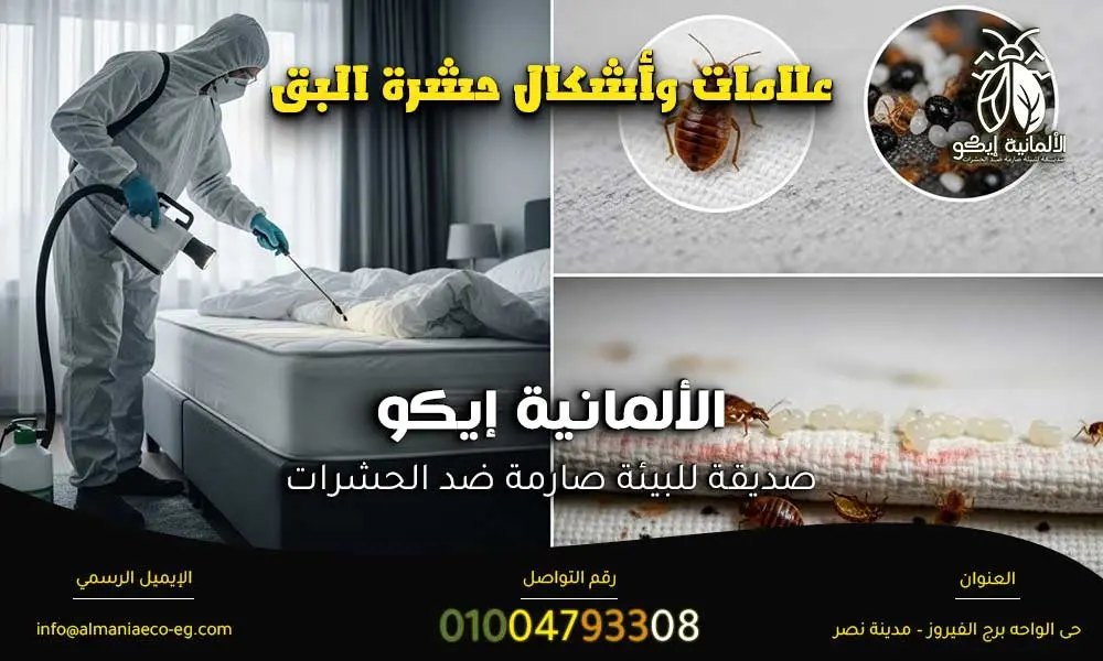 علامات وأشكال حشرة البق