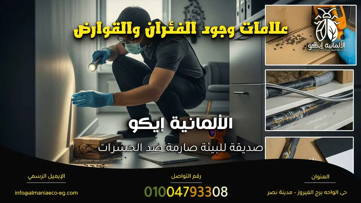 علامات وجود الفئران والقوارض