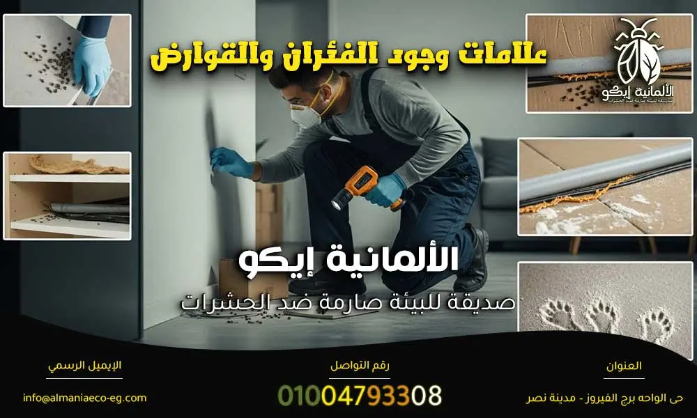 علامات وجود الفئران والقوارض