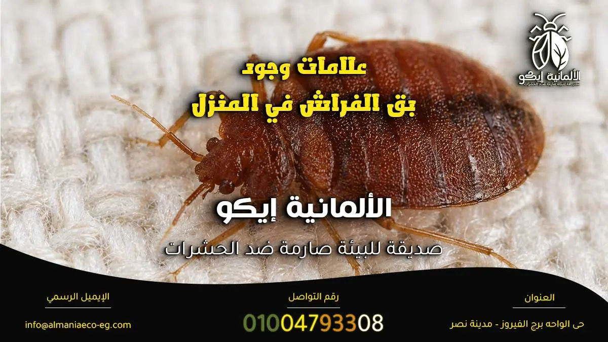 علامات وجود بق الفراش