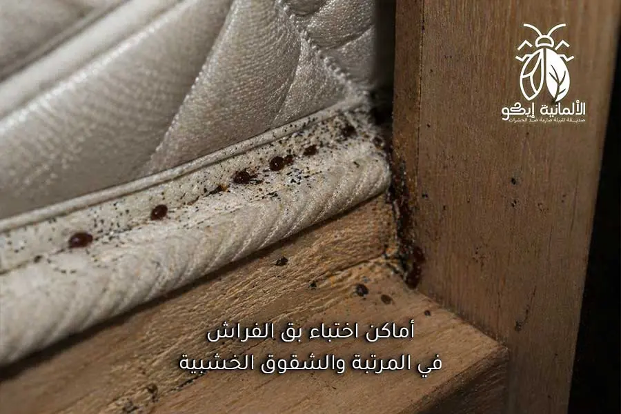 علامات وجود بق الفراش