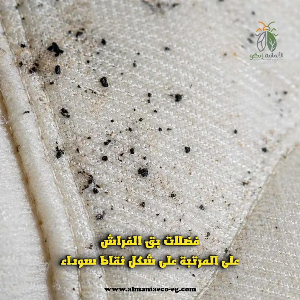 فضلات بق الفراش على المرتبة على شكل نقاط سوداء