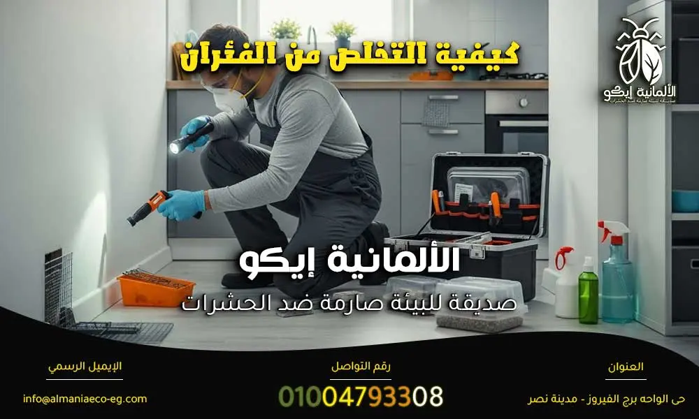 كيفية التخلص من الفئران