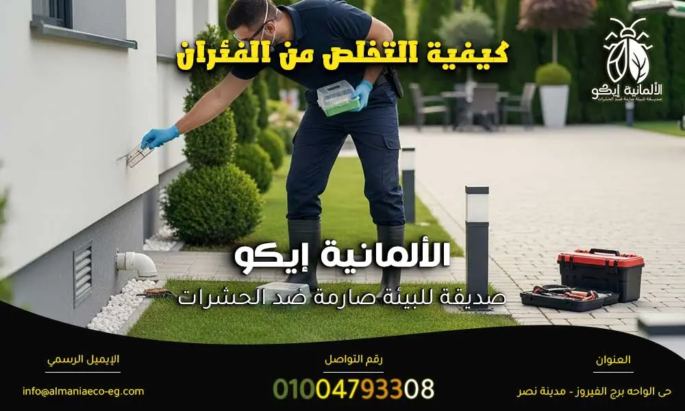 كيفية التخلص من الفئران