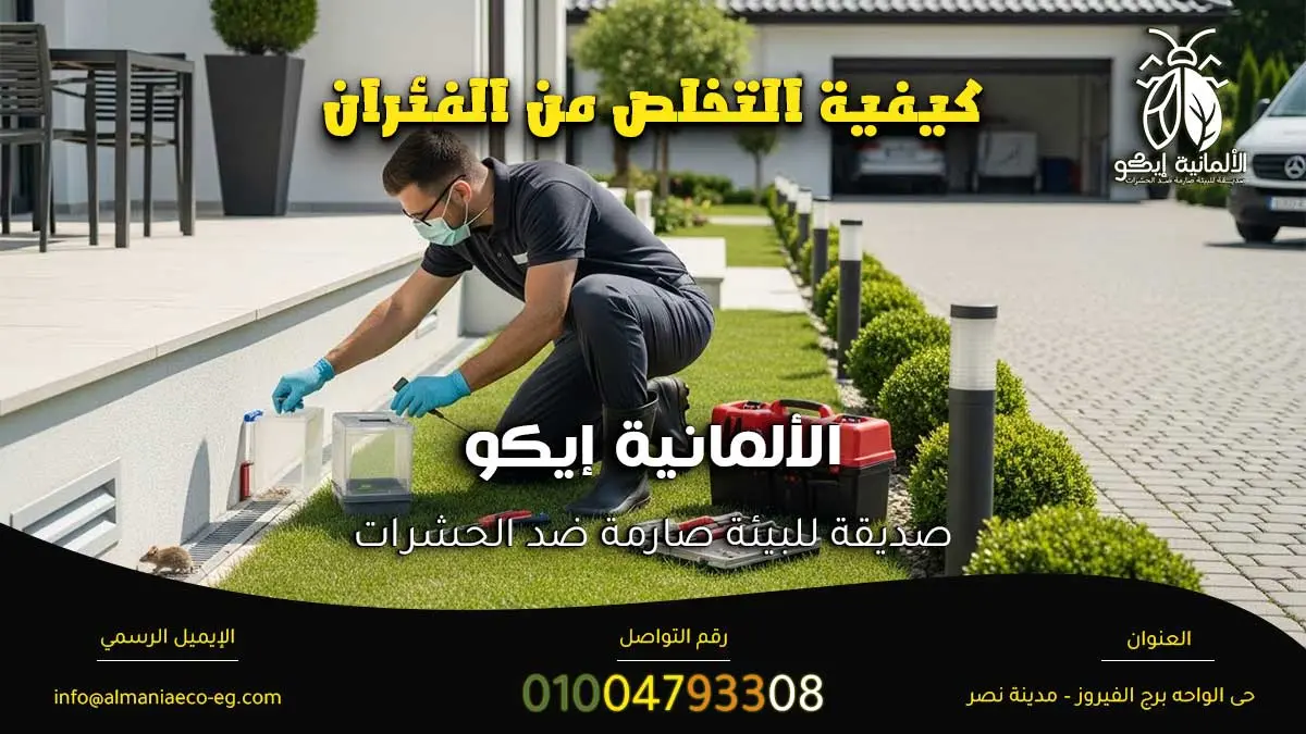 كيفية التخلص من الفئران