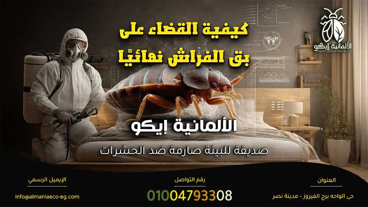 كيفية القضاء على بق الفراش نهائيًا