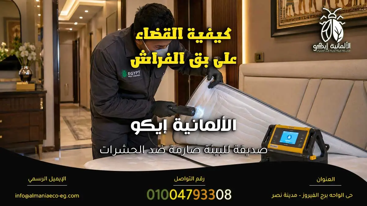 كيفية القضاء على بق الفراش