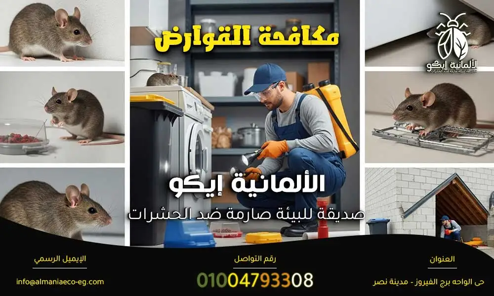 مكافحة القوارض