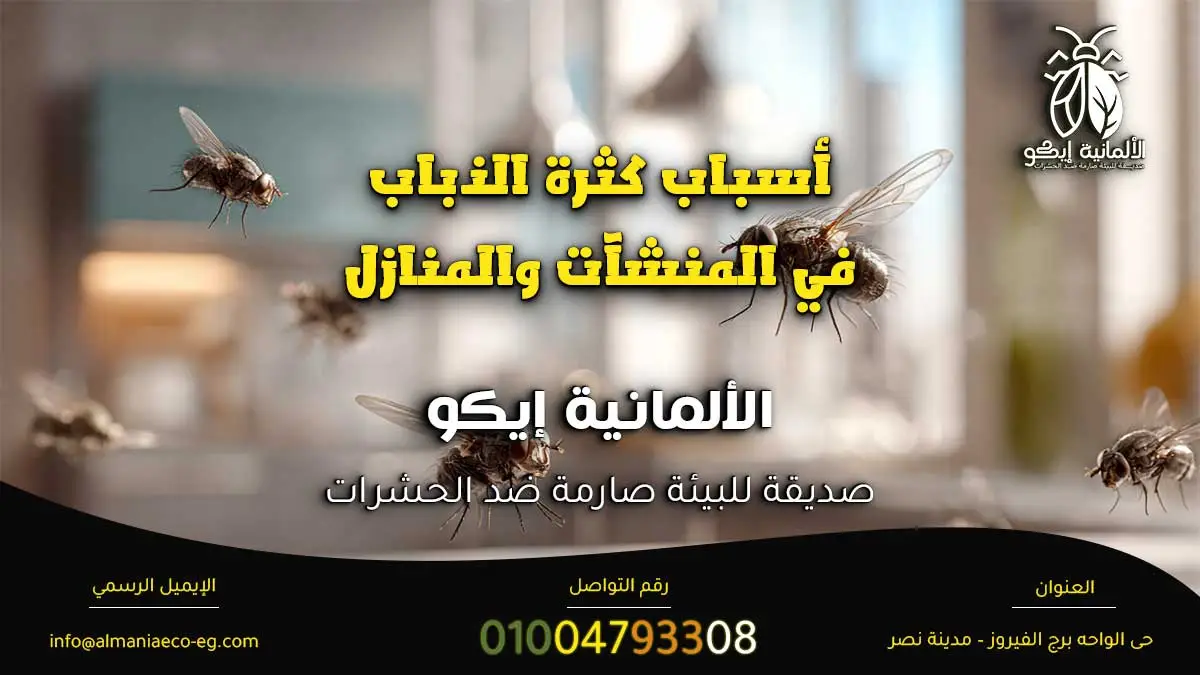 أسباب كثرة الذباب