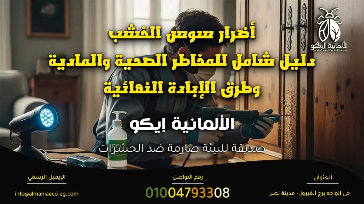 أضرار سوس الخشب