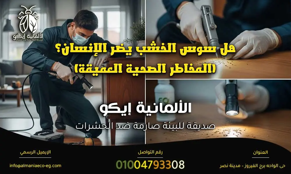 أضرار سوس الخشب