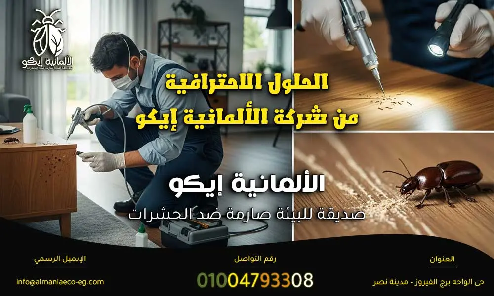 أضرار سوس الخشب